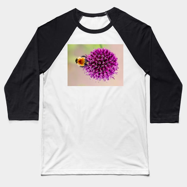 Pollen Collection Baseball T-Shirt by captureasecond